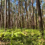 Luxushaus Boddenkueste Mit Sauna Fuhlendorf (Mecklenburg-Vorpommern)