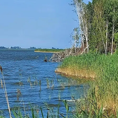 Luxushaus Boddenkueste Mit Sauna