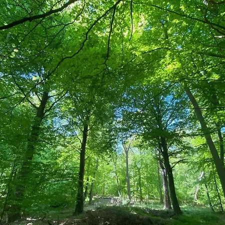 Luxushaus Boddenkueste Mit Sauna Dom wakacyjny