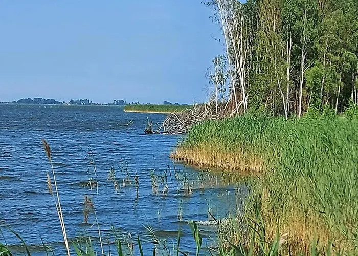 Luxushaus Boddenkueste Mit Sauna