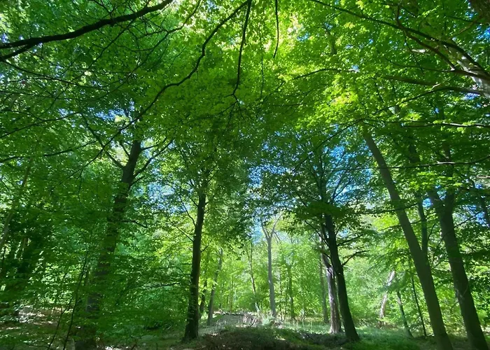 Luxushaus Boddenkueste Mit Sauna 度假居